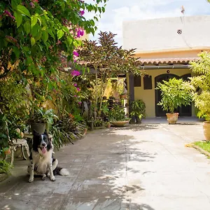 No Jardim - Dos Anjos Arraial do Cabo